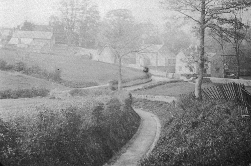 Trots Lane Shipton