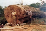 awv0275.jpg