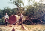 awv0276.jpg